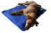 Waterproof Cool Pet Mat