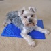 Self cooling summer cool pet mat for dog