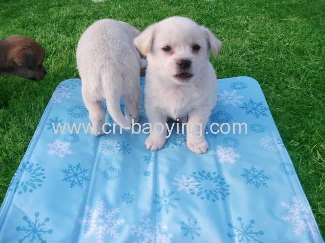 Reusable Ice Mat cool pet mat