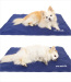 summer cool pet mat