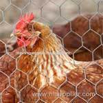 0.7 - 1mm poultry netting