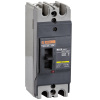 EZC100A 2P Moulded Case Circuit Breaker(MCCB)