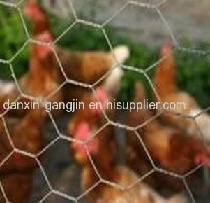 0.7 - 1mm poultry netting