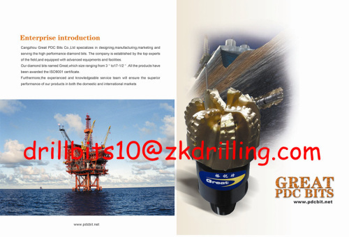 Best Quality Oil PDC Drill Bits