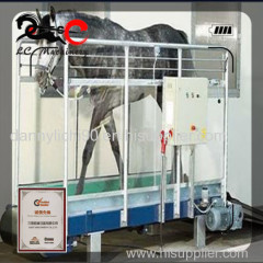 horse training use treadmill belt