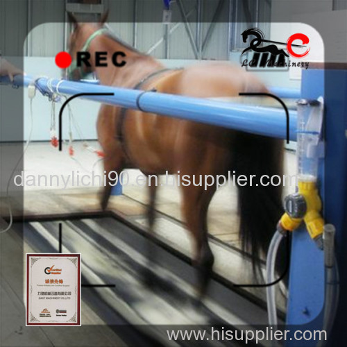 equine training treadmill conveyor belt