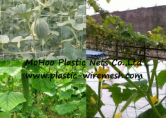 climbing plant support net&mesh pea&bean net&mesh extruded agriculture net&mesh(factory)
