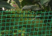 plastic garden fencing net&mesh garden fence