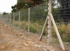 Flat wrap razor wire gives an optimum choice for limited space