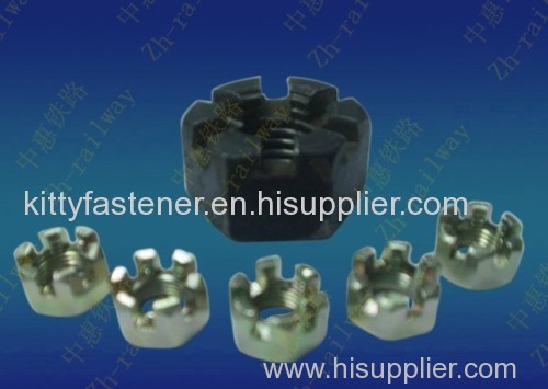 Hex Slotted Nuts (ZH-081)