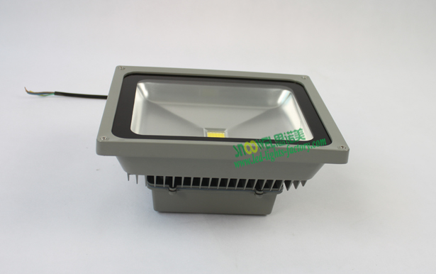 30W Led Flood Lights