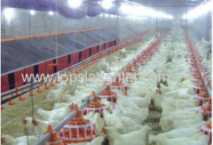 Poultry Farm Equipment Full Automatic Poultry Feeding System