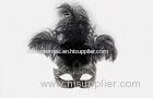 Colombina Venetian Masquerade Masks For Women With Feathers
