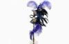 Plastic Stick Masquerade Masks Halloween Purple Feather For Lady