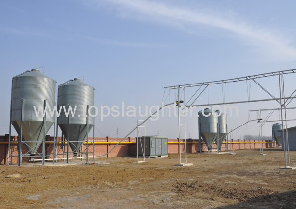 Chicken Farm Equipment Feed Silo 