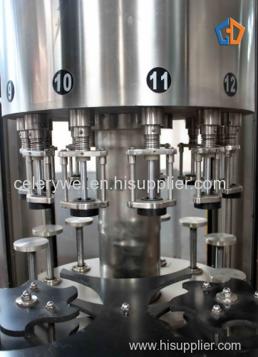 Seasoning package machine for bottles