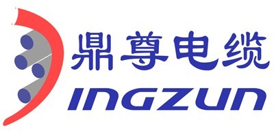 Shanghai Dingzun Elctric&Cable Co.,Ltd.