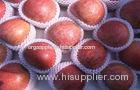 Crisp Fresh Red Organic Shanxi Qinguan Apple With Plastic / Paper Bagged