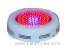 Dimmable Weed LED Grow Lights , 90W Blue LED Flower Grow Light