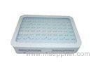 50Hz Red And Blue LED Grow Lights 80W 4800Lm With Full Spectrum