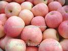 Juicy Crisp Fresh Red Fuji Apple Contains Quercetin , Epicatechin For Vegetable Shop