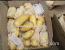 New Cropped Fresh Holland Potato With Yellow Skin , Long Shaped 80 - 150g