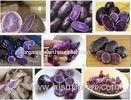 Long Purple Organic Potatoes Good Taste Rich Nutritions For Human Health