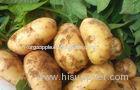 Yellow Long Organic Potatoes Contains Phytochemicals Carotenoids For Supermarket