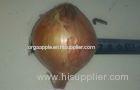 Brown Sweet Natural Fresh Onion Health Benefits For Anticancer , Antioxidant Properties