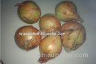 Non-Peeled Yellow Natural Fresh Onion With Sweet Flavour Contains Water , Sugar