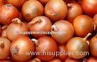 Chinese Gansu Yellow Round Natural Fresh Onion Health Benefits , 5 - 9cm , Non-Peeled