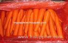 Nutritional Value Organic Carrot