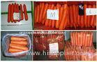 Chinese Sweet Bar Straight Organic Carrot With Round Tail , No Residual Pesticide