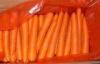 Bright Red Crunchy Organic Carrot With Round Head For Market , 300 - 350g