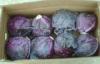 Organic Round Purple Fresh Chinese Napa Cabbage Crispy Contains Vitamin-A , Thiamin