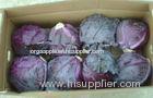 Organic Round Purple Fresh Chinese Napa Cabbage Crispy Contains Vitamin-A , Thiamin
