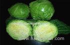 Eaten Raw Flavorful Chinese Napa Cabbage Contains Calcium , Iron For Burgers