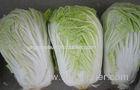 No Rotten Chinese Napa Cabbage / Bok Choy Contains Vitamin K , C , ISO 9001