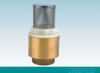 Brass foot valve with stainless steel filter