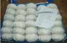 Natural Solo Garlic Organic Fresh Garlic White For Preventing Gangrene