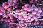 Fresh Fruit 24 - 26mm Red Globe Grapes Fresh Juicy With High Sugars , Pyridoxine