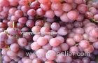 Fresh Victoria Red Globe Grapes Thin Skin , Sweet Flesh For Children / Kids