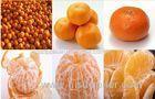 Sweet Baby Fresh Mandarin Oranges