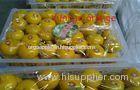 Yunnan Nutritional Value Fresh Mandarin Oranges Vitamins B3 , E To Enhance Digestion
