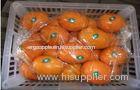 Organic Sweet Juicy Round Fresh Navel Orange / Ponkan Orange With High Energy