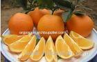 Vitamin C Fresh Navel Orange Seedless Contains Zinc , Protein For Long Time Stored