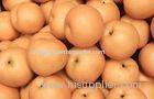 Fresh Huangguan Pears / Crown Pear Heath Benifits With Nutrition Value