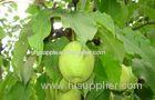Sweet Green Fresh Pears With High Energy , Vitamin C , Carotene-