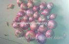 2 - 3cm Red Onion Shallot