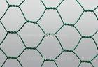 Galvanized Expanded Welded Mesh Fence Netting Panel For Schools , Road